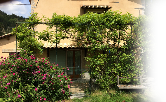 location maison à Castellane