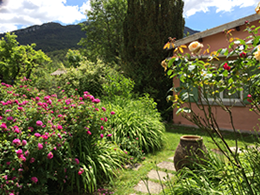 location maison castellane